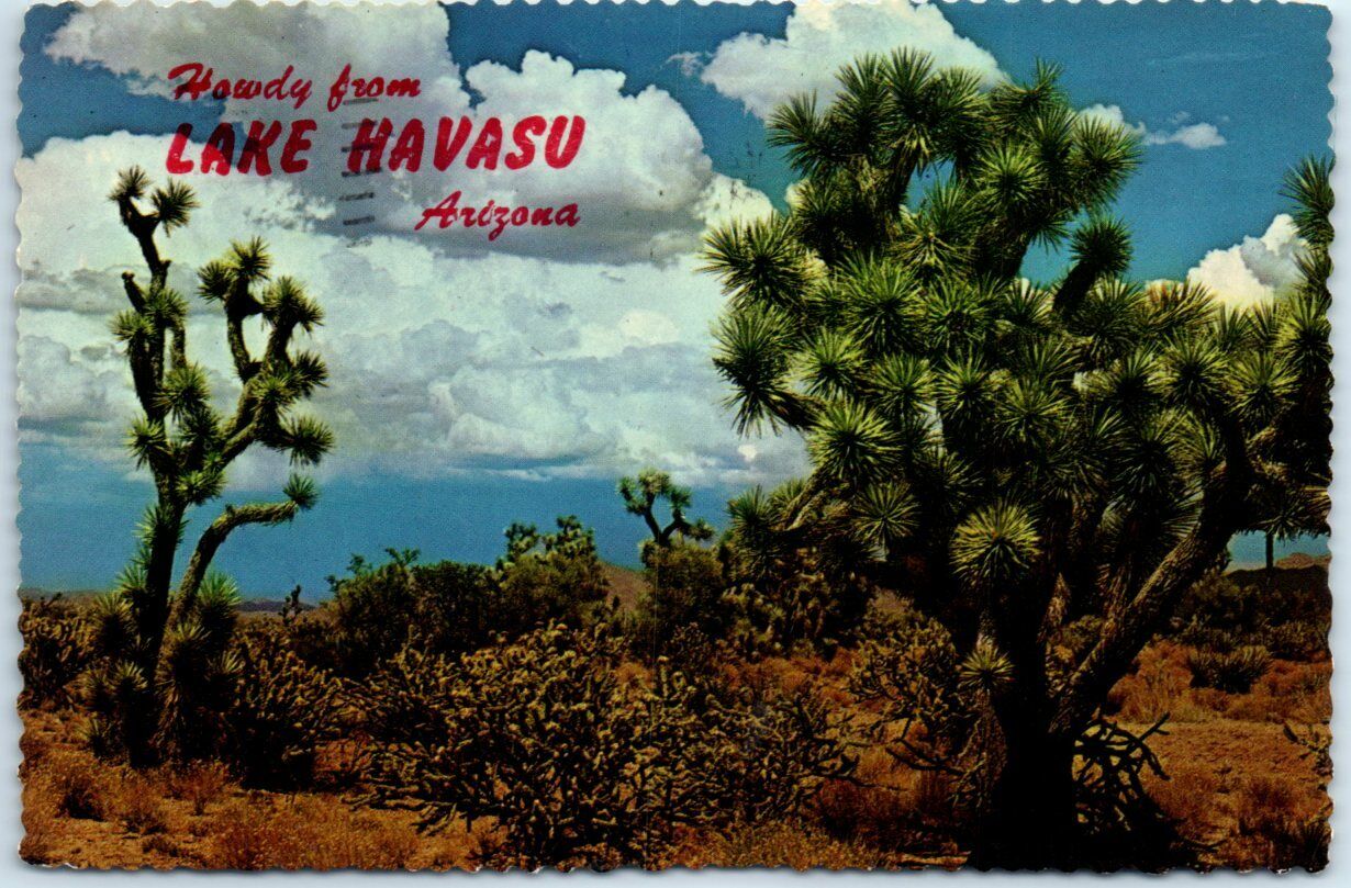 Postcard - Joshua-Trees - Howdy from Lake Havasu, Arizona