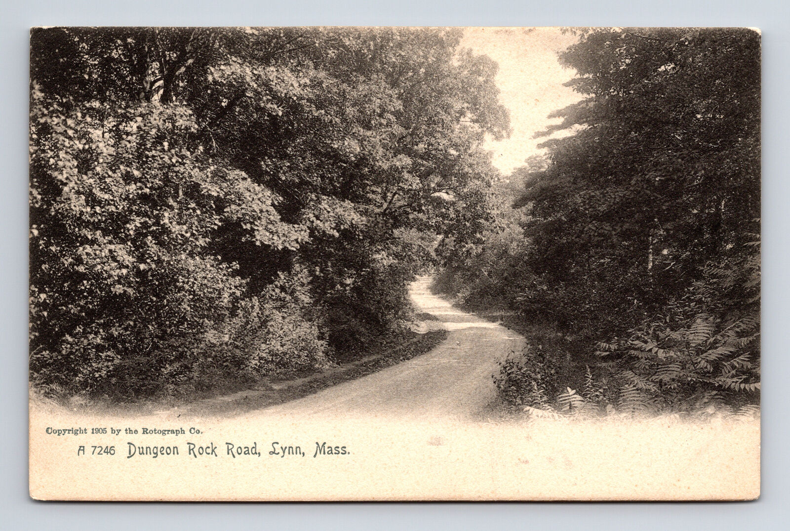 c1905 Scenic View Dungeon Rock Road Lynn Massachusetts MA ROTOGRAPH Postcard