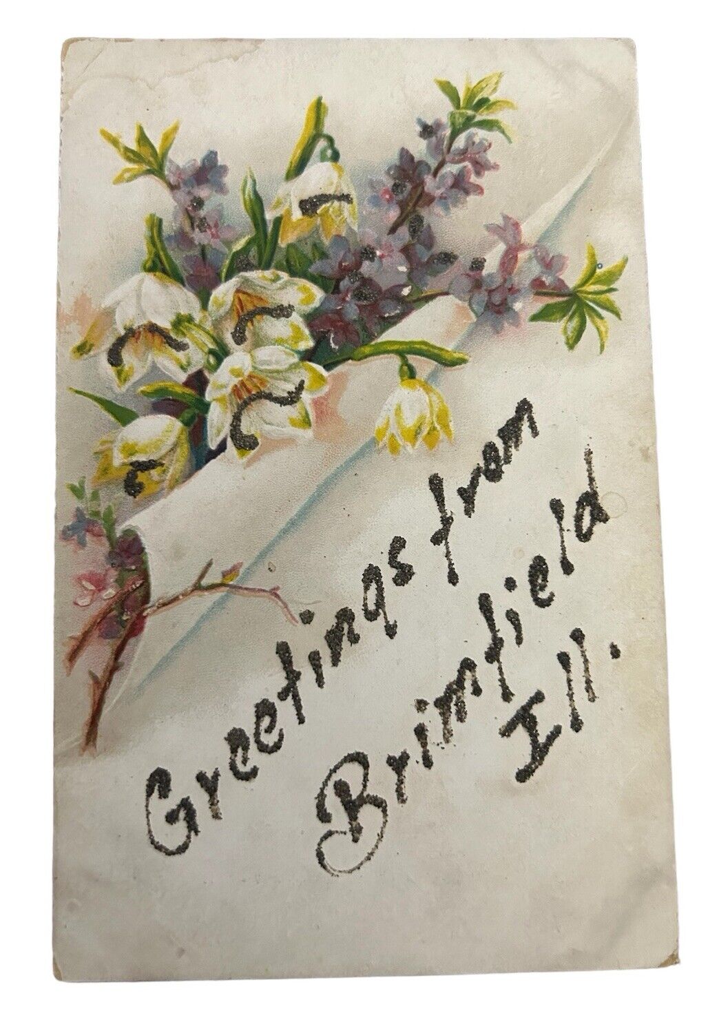 c1910  Greetings From Brimfield Illinois Flowers Glitter Mica P786