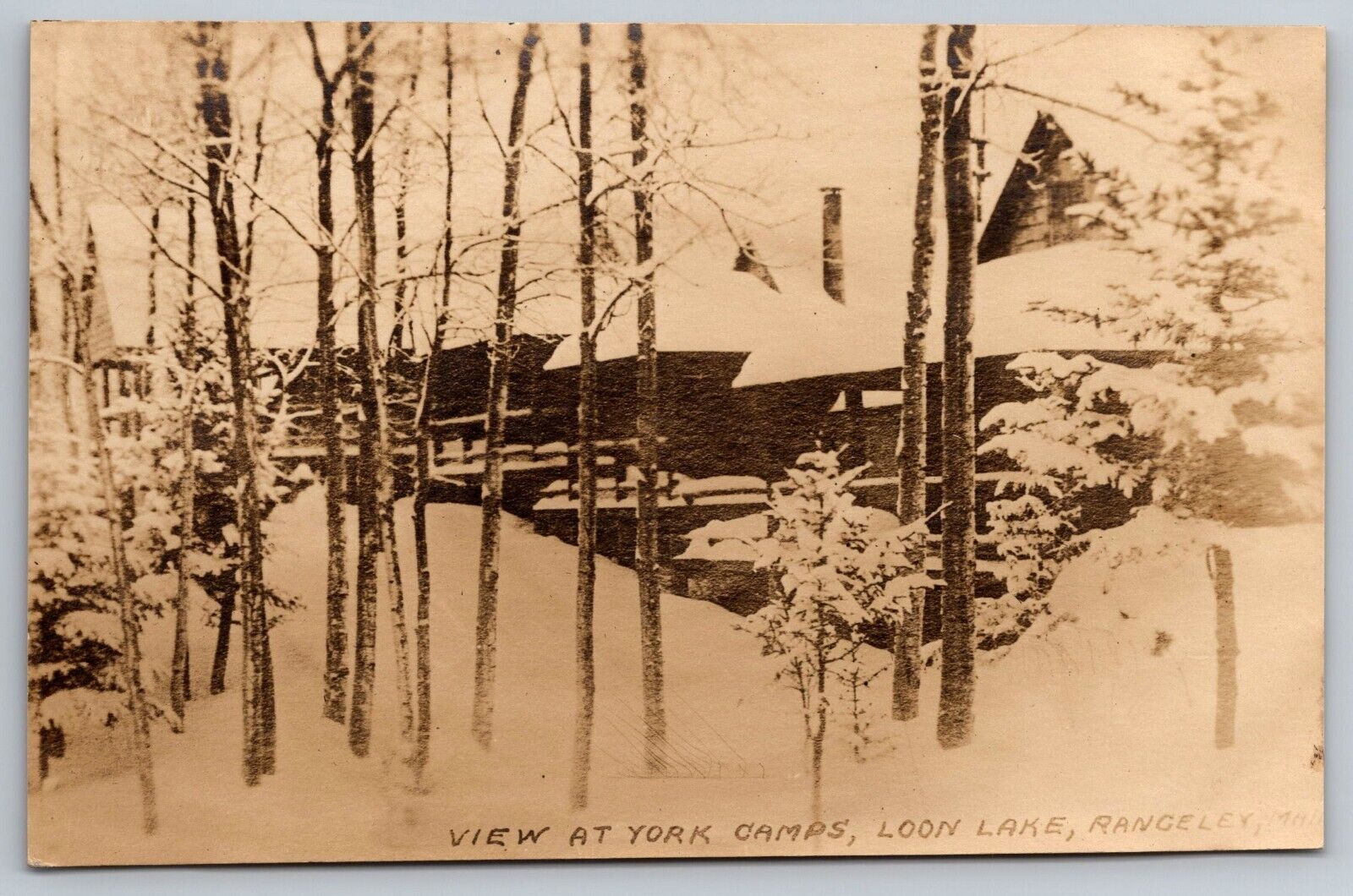 View at York Camps. Loon Lake. Rangeley Maine Real Photo Postcard. RPPC