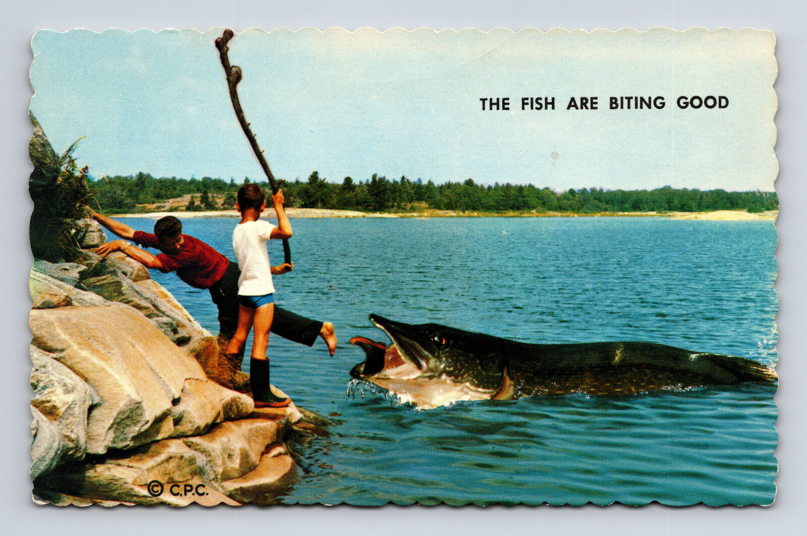 Exaggerated Giant Pike Fish are Biting Tall Tale Emerson Canada Postcard