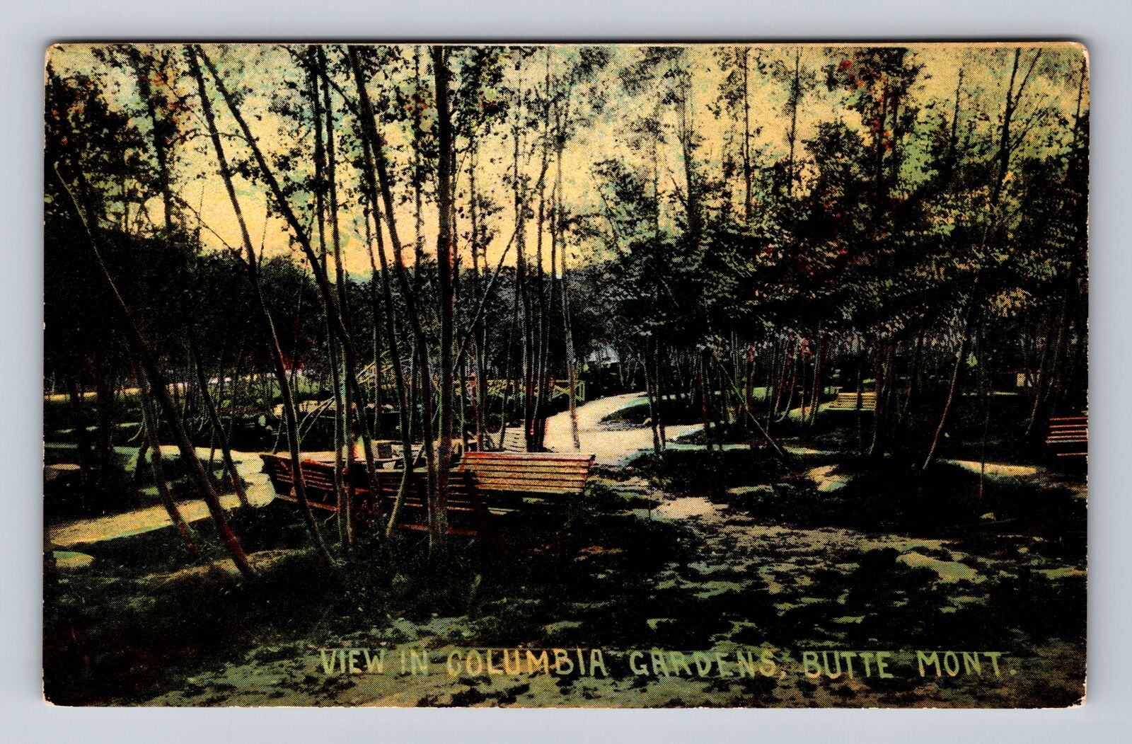 Butte MT-Montana, Scenic View Columbia Gardens, Antique Vintage Postcard