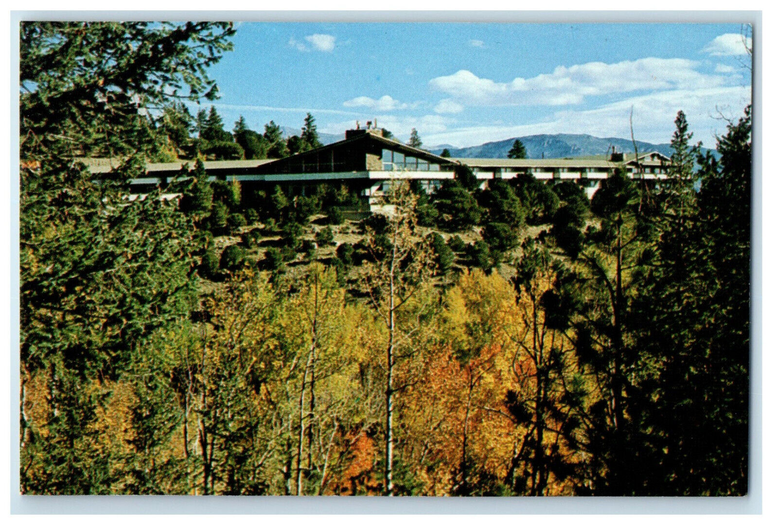 c1950s Trail West Lodge, Route 1, Buena Vista CO Unposted Vintage Postcard