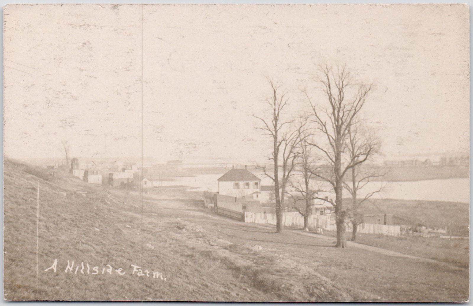 RPPC Hillside Farm In Massahcusetts Near Coast 1910 Location? Vintage Postcard