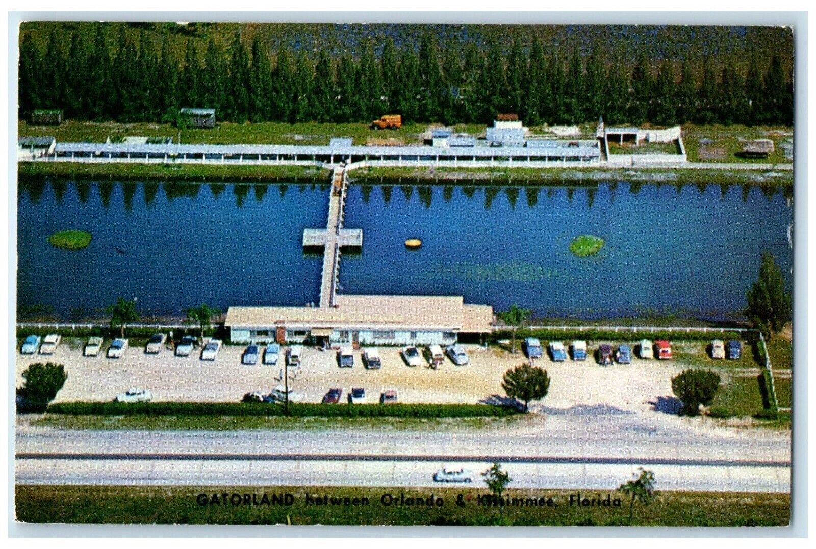 c1960 Owen Godwin's Gatorland Orlando Alligator Farm Kissimme Florida Postcard