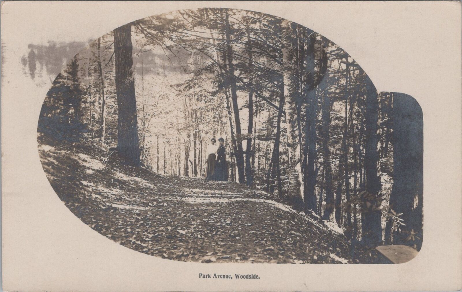 Women on Park Avenue, Woodside 1908 Eddy Make RPPC Fitchburg PM Postcard
