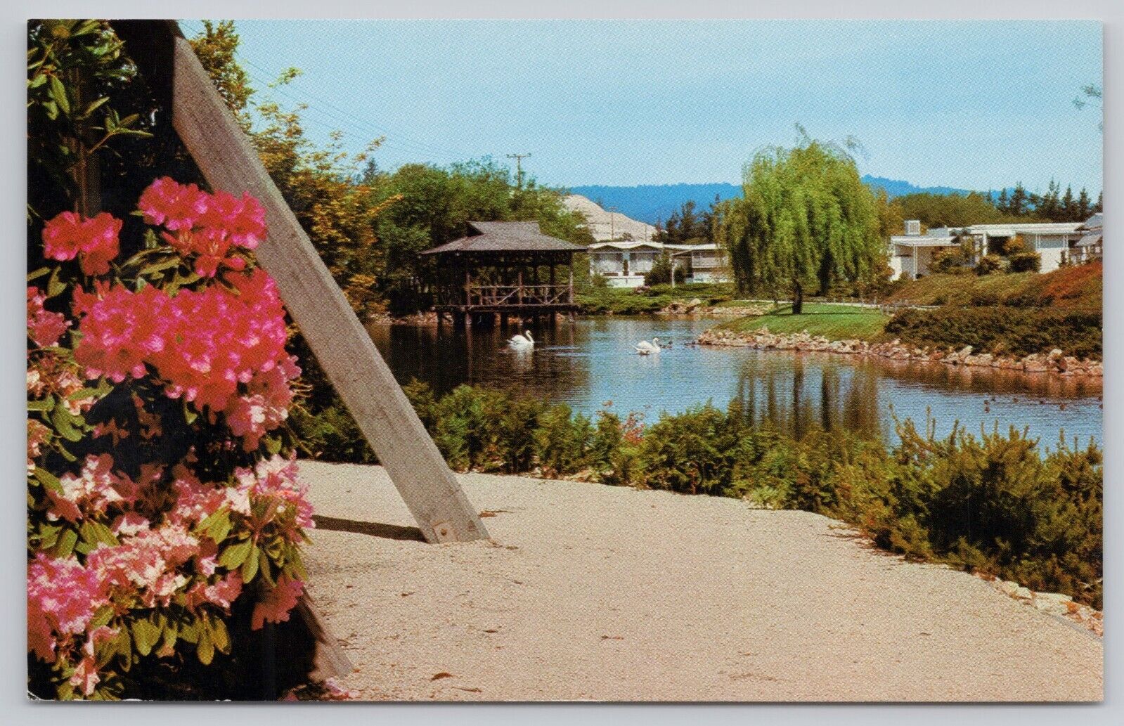 Santa Cruz California, Spring Lakes Mobile Home Advertising, Vintage Postcard