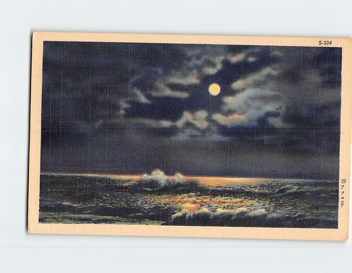 Postcard Evening Moonlight Waves Seascape Scenery USA