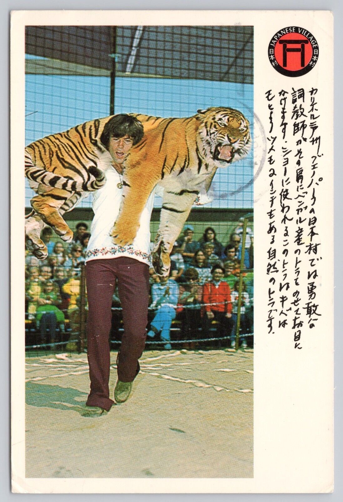 Buena Park California, Japanese Village Tiger Trainer Show RARE Vintage Postcard