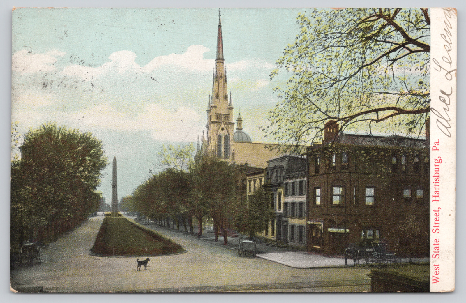 Postcard Harrisburg, Pennsylvania, 1907, West State Street, Dog, Buggies A971