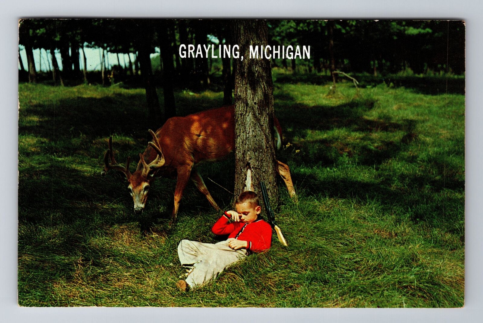 Grayling MI-Michigan, Boy And Deer, Antique, Vintage c1964 Souvenir Postcard