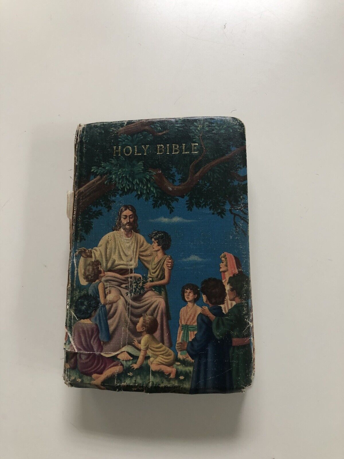 Holy Bible, Self Pronouncing Edition, World Publishing Company, Rare, Vintage