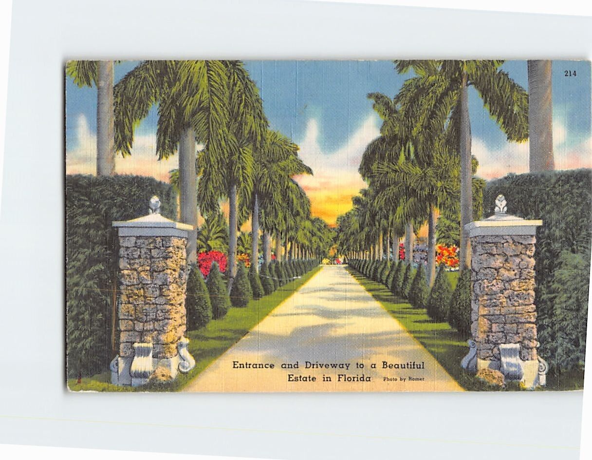 Postcard Entrance & Driveway to a Beautiful Estate in Florida USA