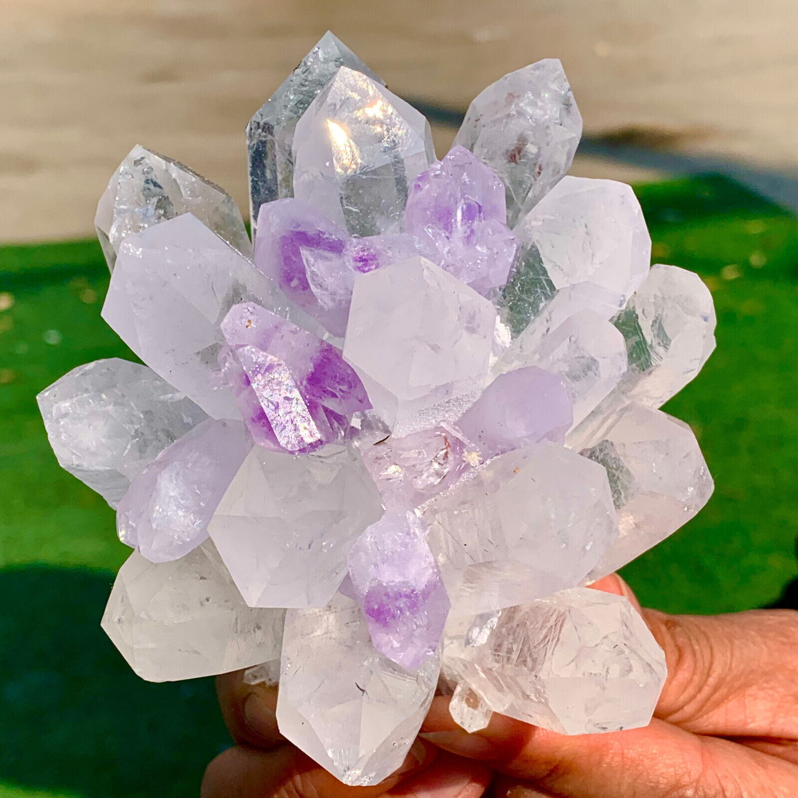 1.5LB New find white + Purple Phantom Quartz Crystal Cluster Minerals
