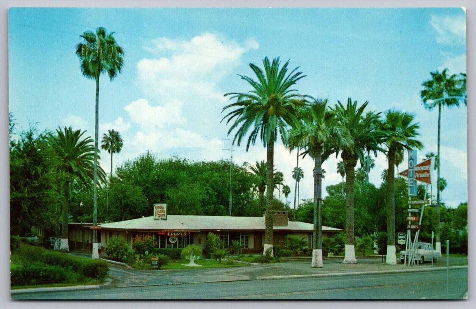 Hoover Paradise Motel McAllen Texas Street View Palms Old Car Vintage Postcard