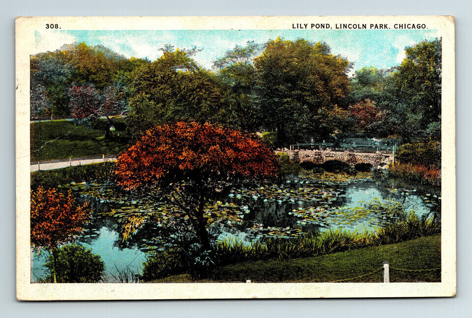 c1924 WB Postcard Chicago IL Lily Pond Lincoln Park