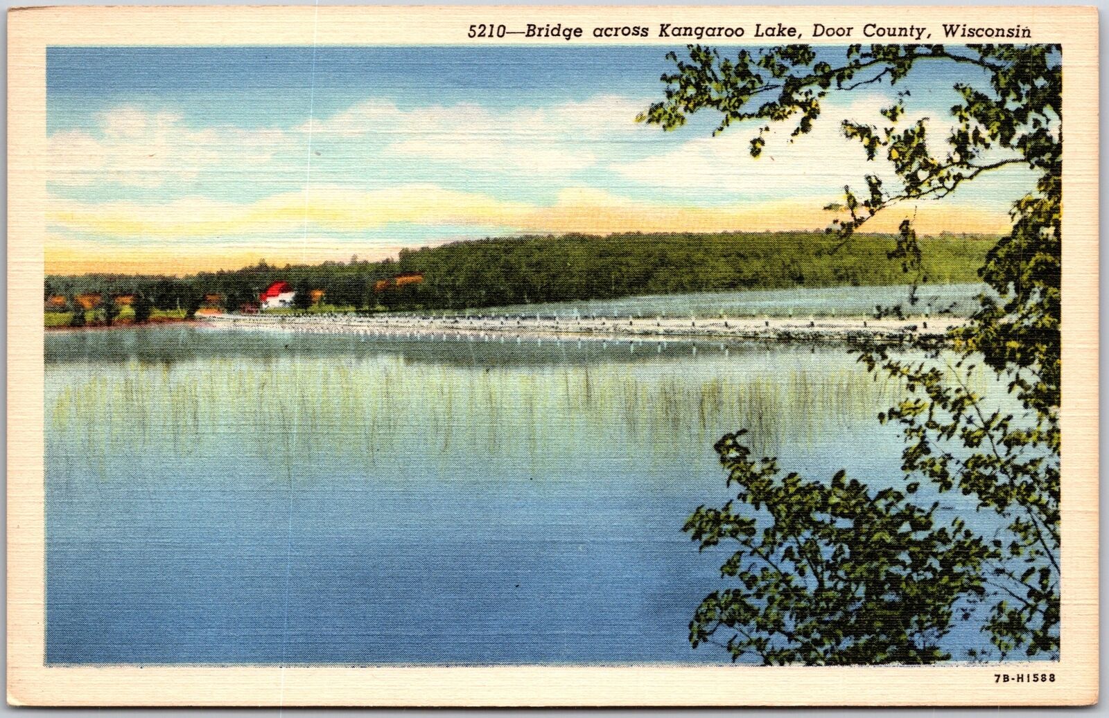 Door County Wisconsin WI, Bridge Across Kangaroo Lake, Nature, Vintage Postcard