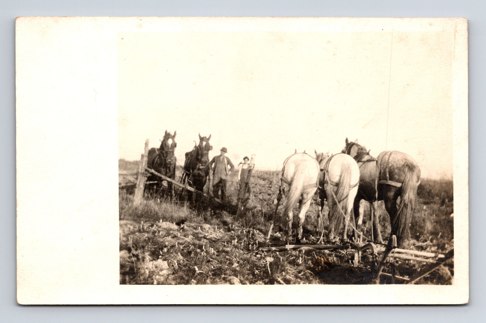 RPPC Farmers & Horse Drawn Plow Horses Postcard