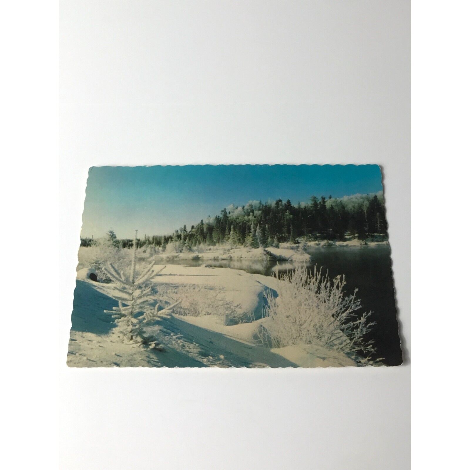 Winter Scenery in Algoma Chrome Divided Back Postcard