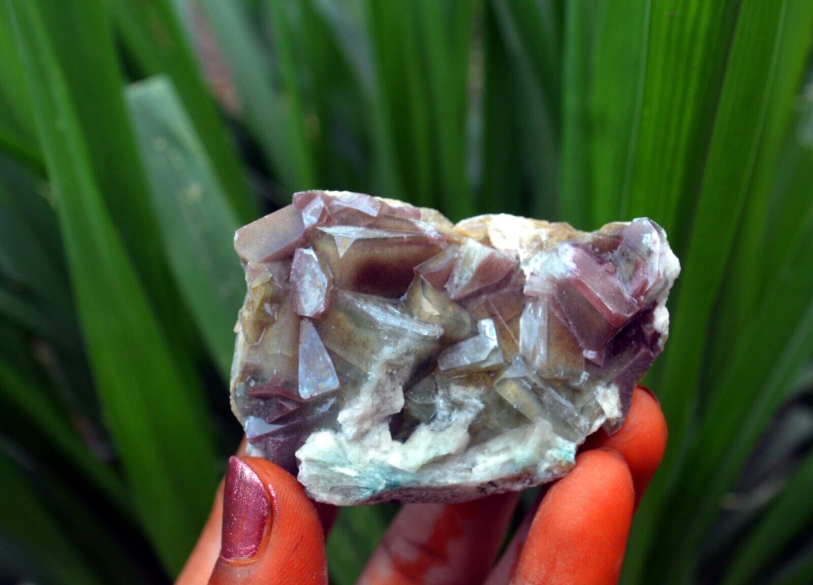 Marshy APOPHYLLITE Crystals & Matrix Minerals J-7.24