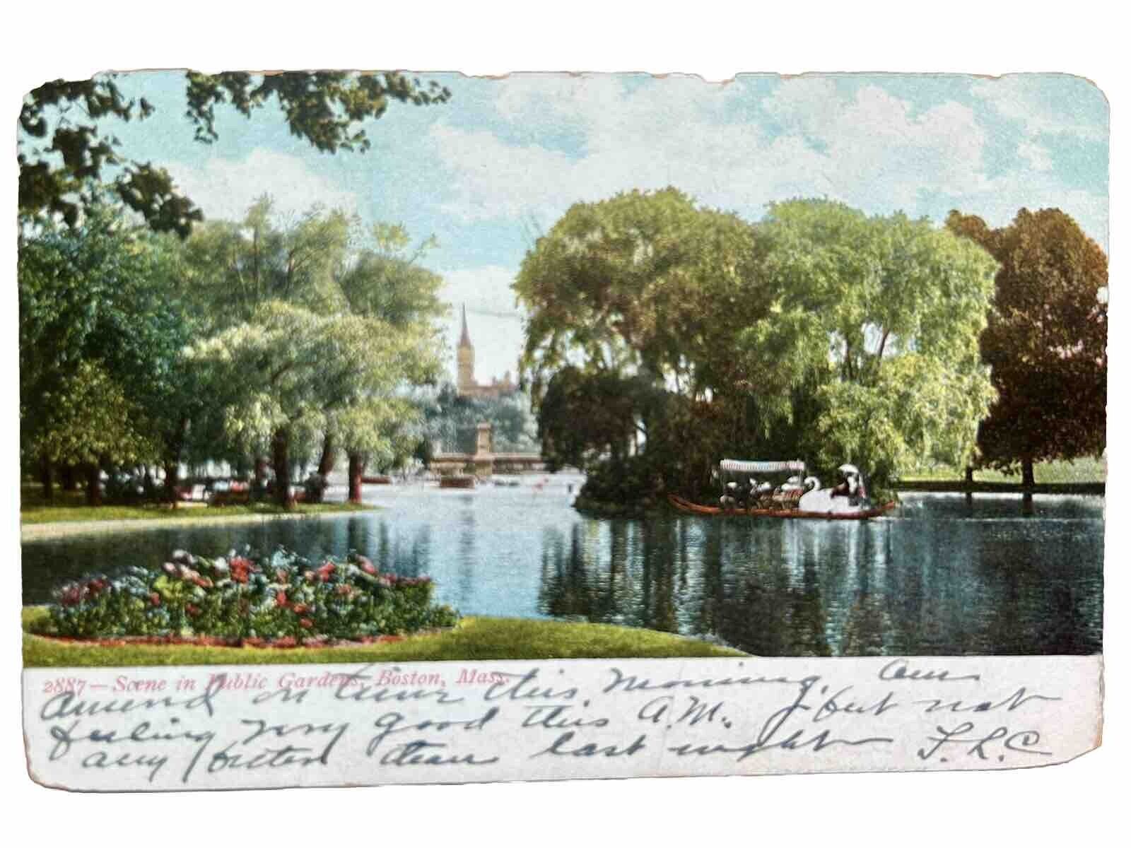 Seen In Public Garden, Boston Massachusetts Undivided Back Vintage Postcard 1906