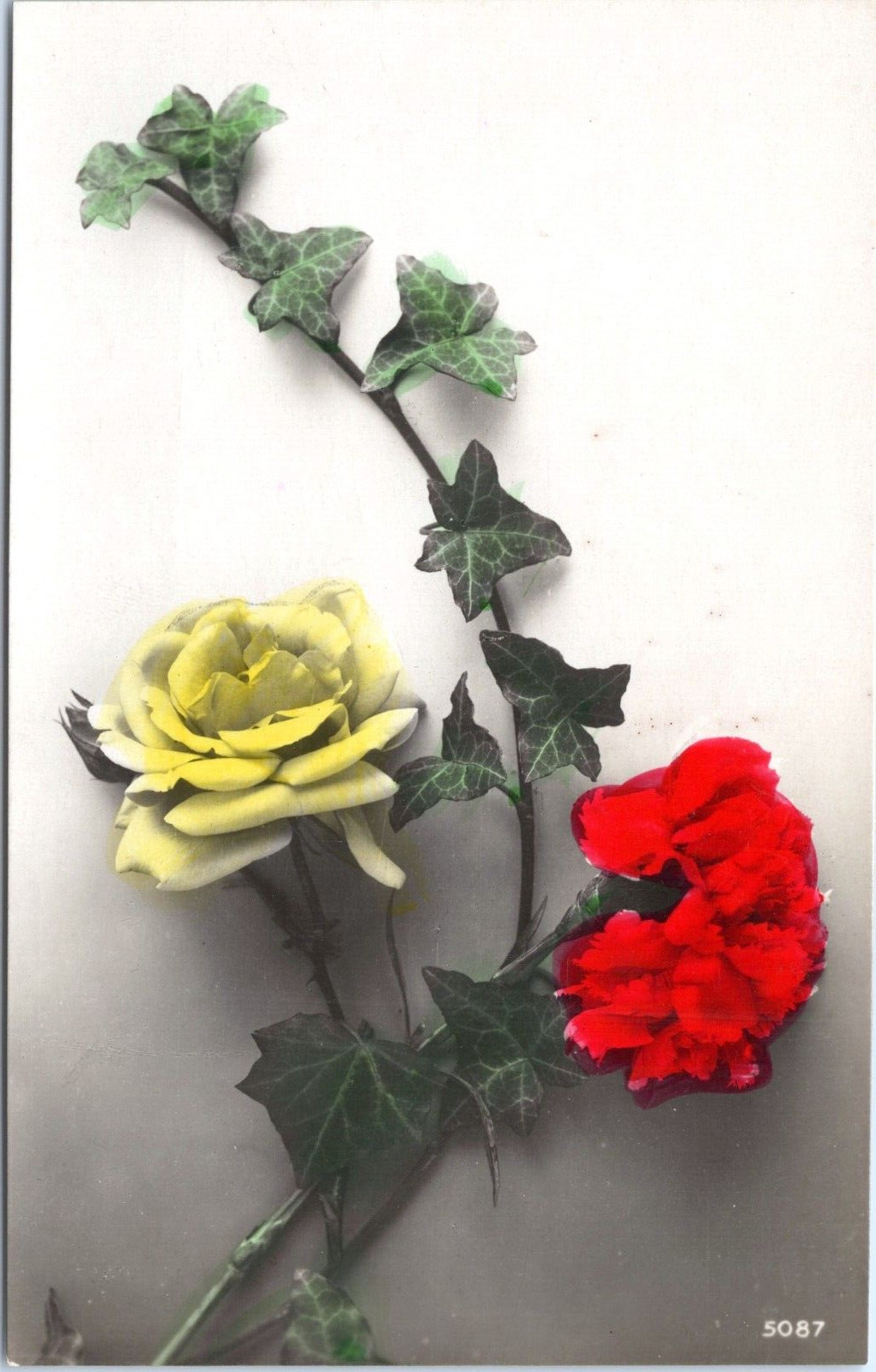 RPPC Rose and Ivy Flowers- Hand Colored Real Photo by Fotocelere Italy