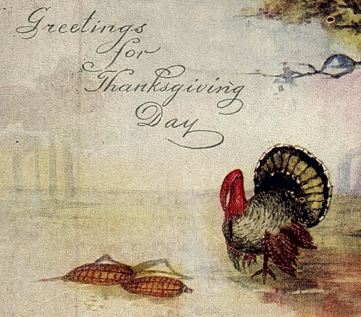 1920 GREETINGS FOR THANKSGIVING DAY TURKEY CORN FOREST POSTCARD 34-64