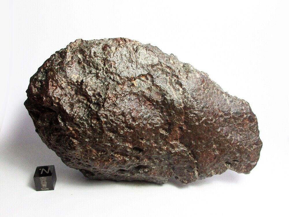 NWA 869 Meteorite 970g Beautifully Shaped Chondrite
