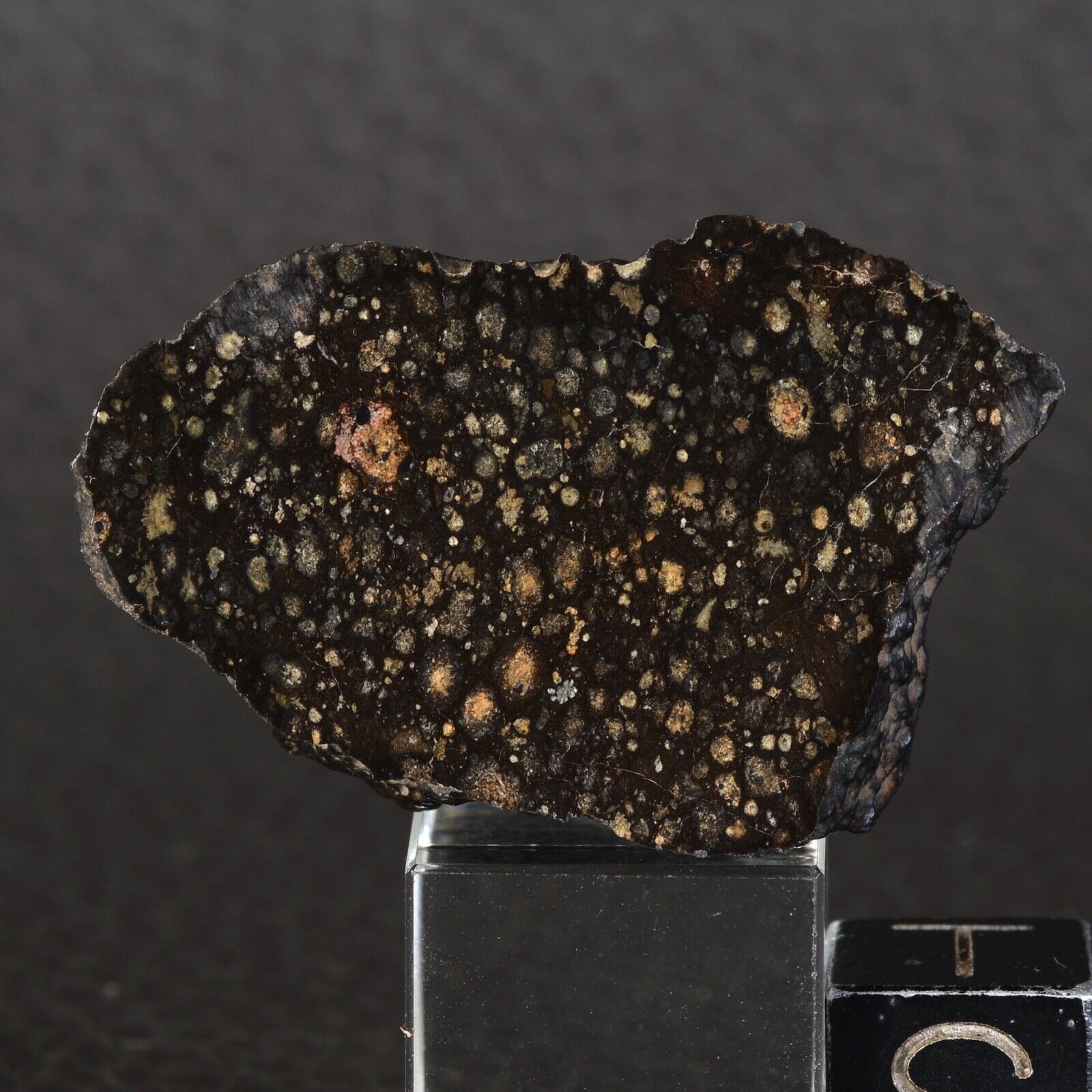 Meteorite Nwa 16302 Of 12,98 G Chondrite Carbonée Type CV3 End Cut #E35.11-2