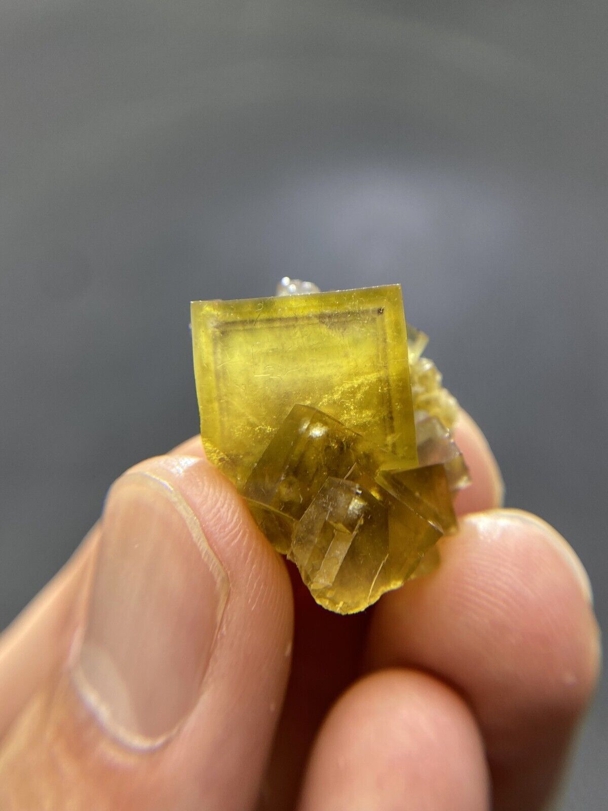 10.7g Exquisite natural Purple Window Yellow cubic fluorite mineral crystal