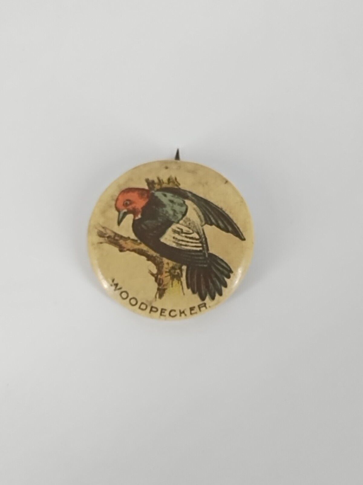 Antique 1890’s Woodpecker Bird Whitehead & Hoag Pepsin Gum Pin Pinback Button