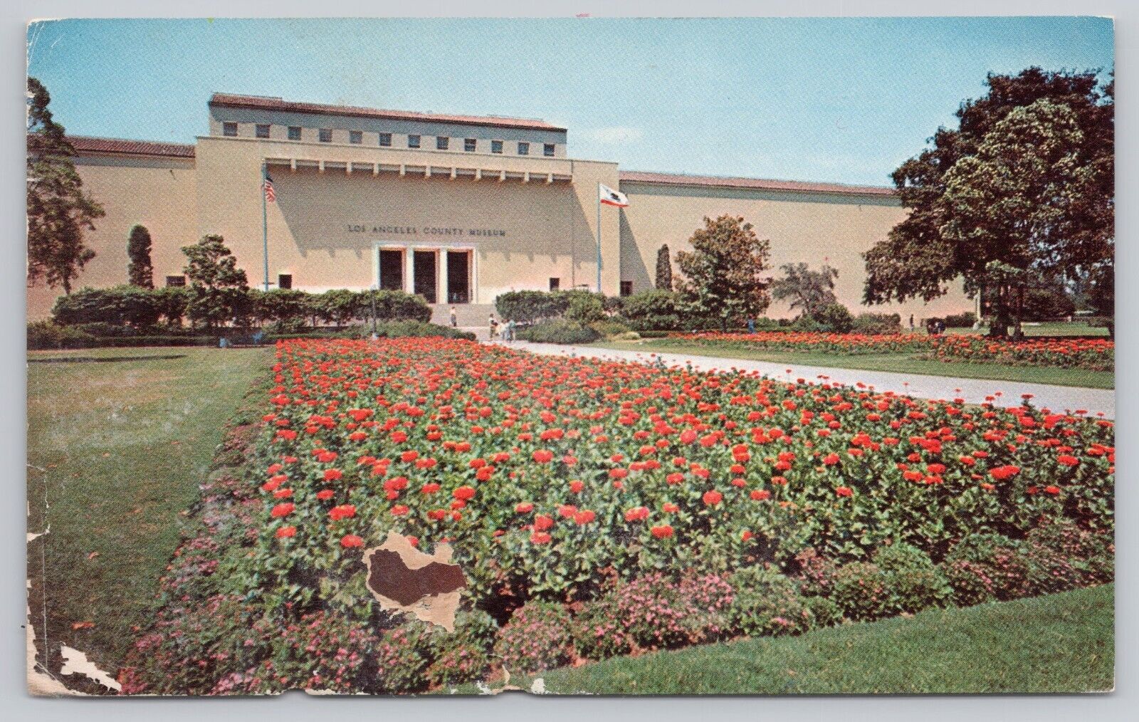 Los Angeles California, Museum of History Science & Art, Vintage Postcard