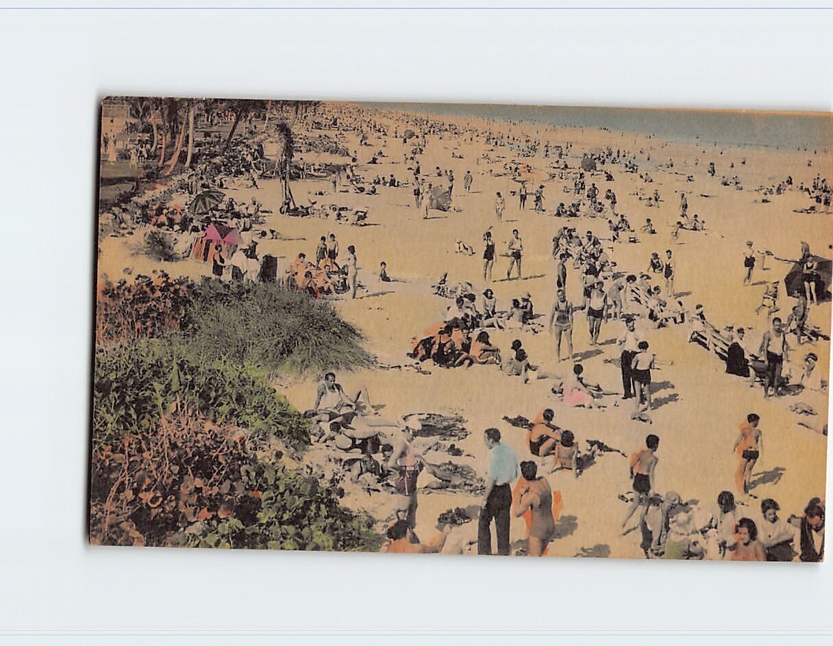 Postcard On the Sands in Florida