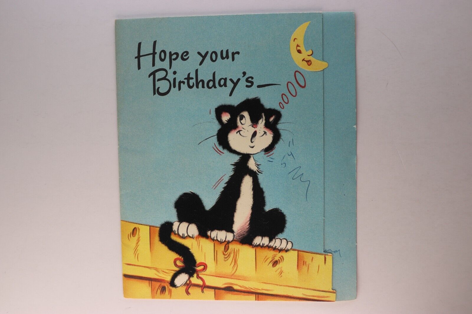 Vintage Cute Funny Cat and Moon Birthday Wishes Forget Me Not Card c.1950's