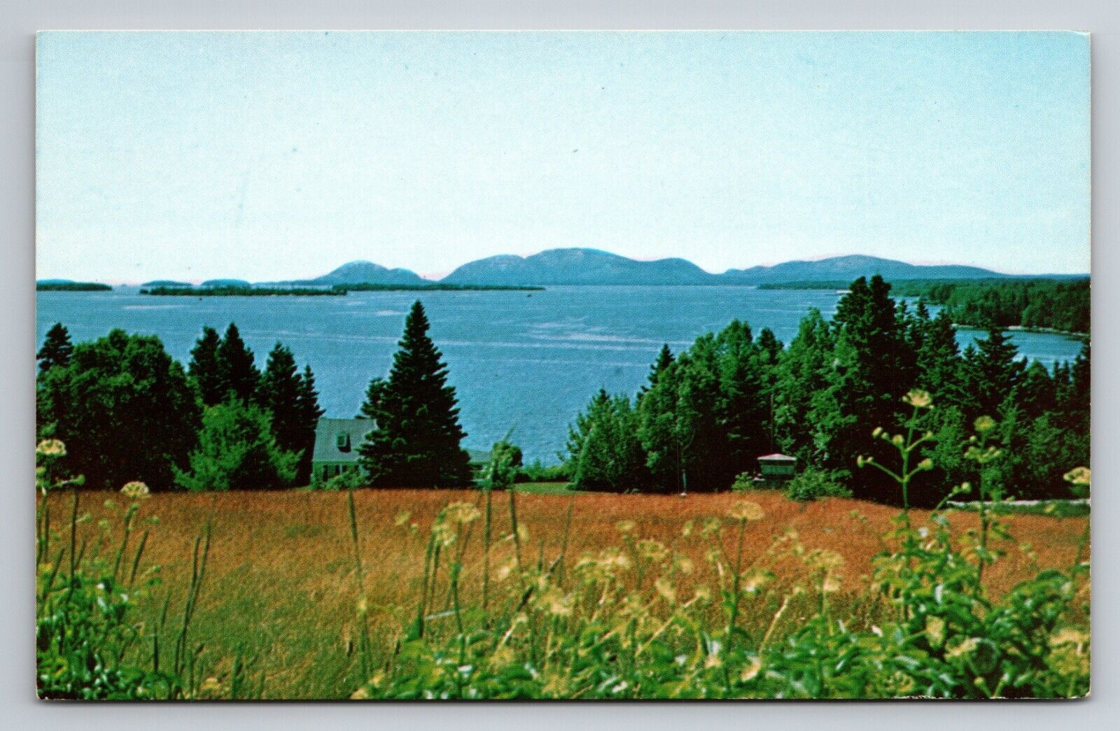 View At Sullivan Maine By U.S. Highway No. One Vintage Unposted Postcard