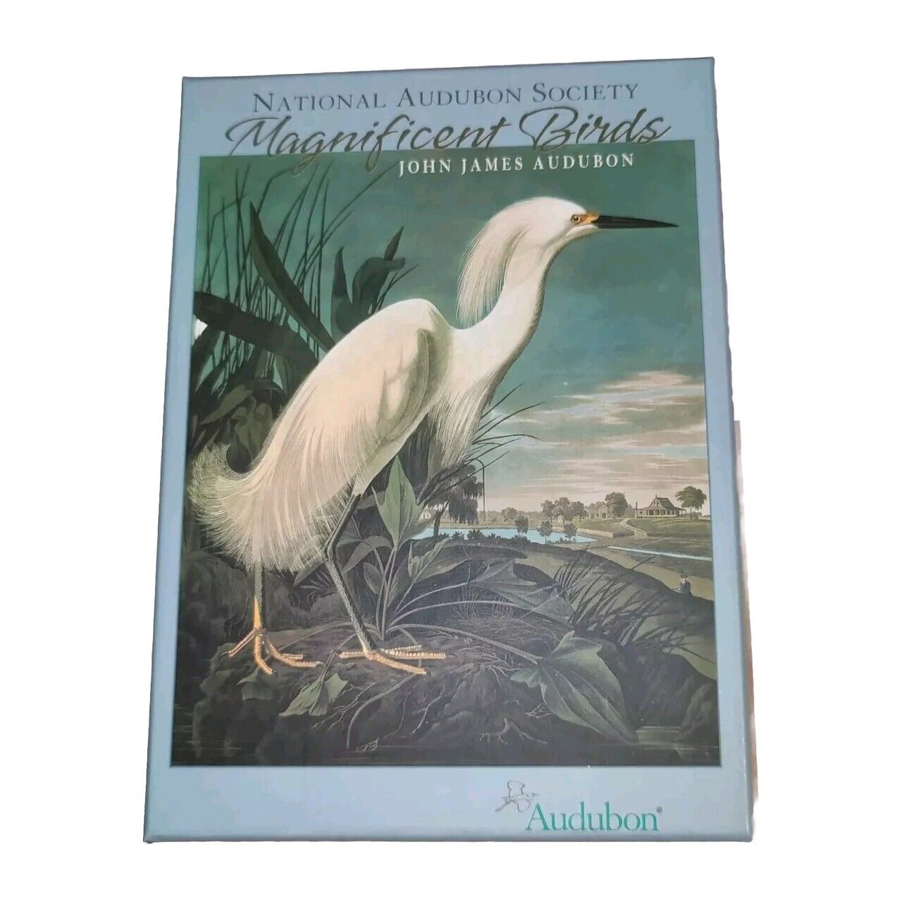 National Audubon Society Magnificent Birds John James Audubon Note Cards  Open