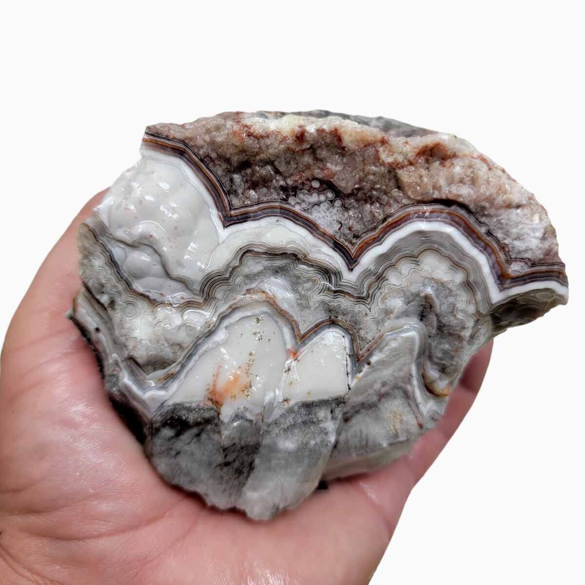Old Vein Lace Agate Rough Chunk