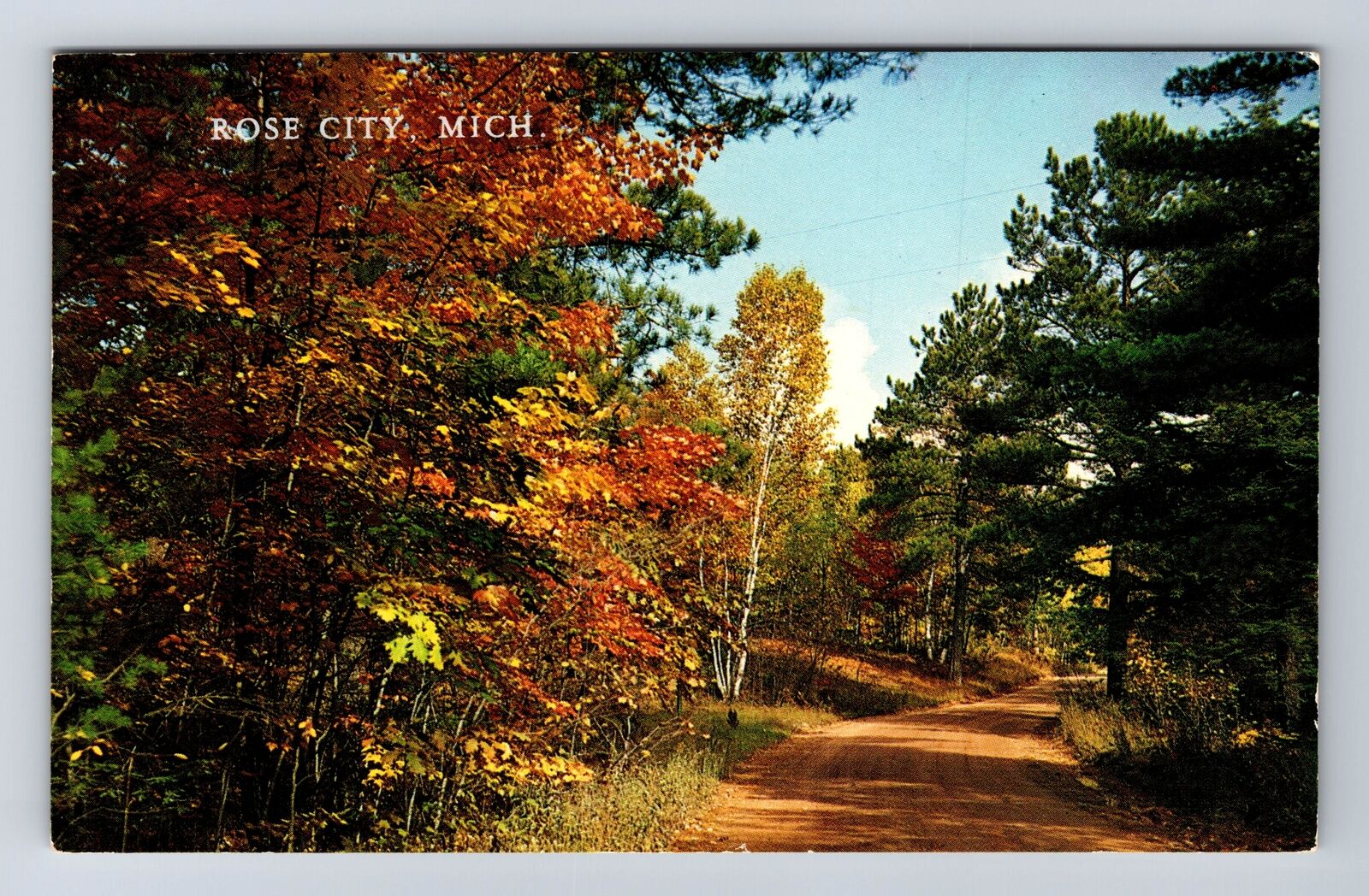 MI-Michigan, Scenic Greetings Autumn Trail, Antique Souvenir Vintage Postcard