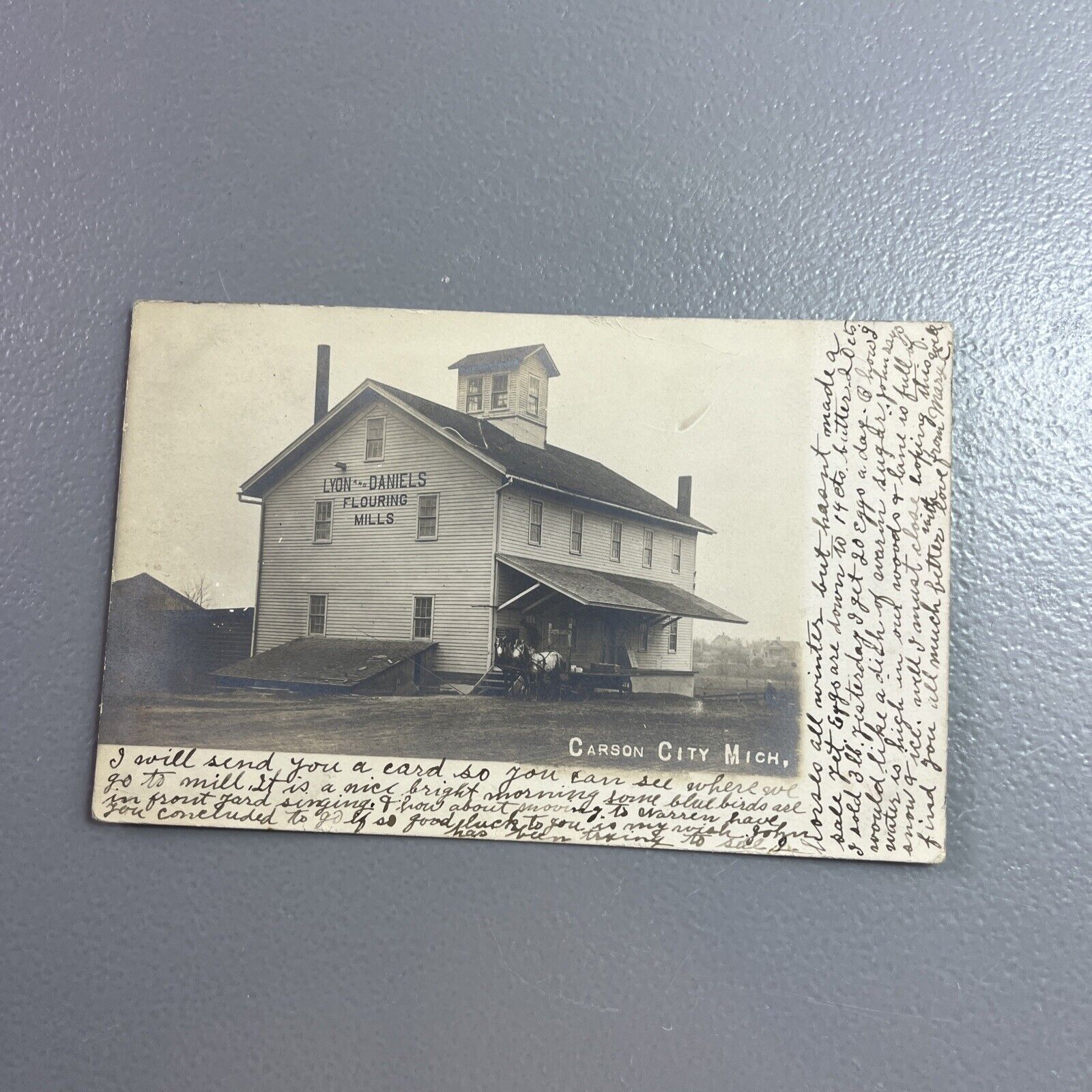 Lyons Daniels Flouring Mills Carson City Michigan Real Photo Postcard Rare 1908