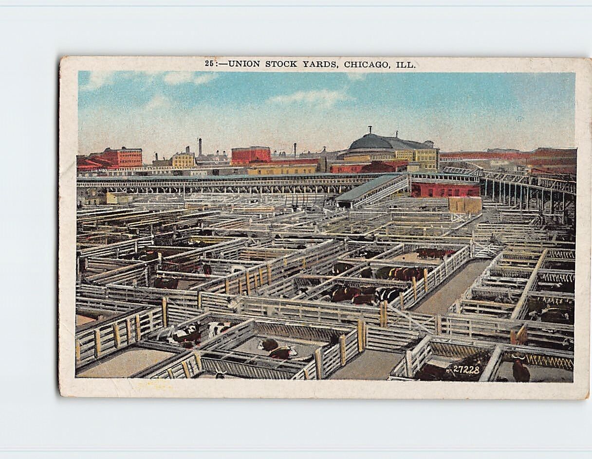 Postcard Union Stock Yard Chicago Illinois USA
