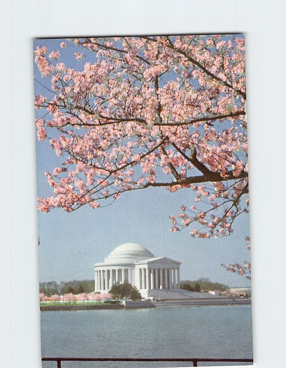 Postcard Jefferson Memorial Washington District of Columbia USA