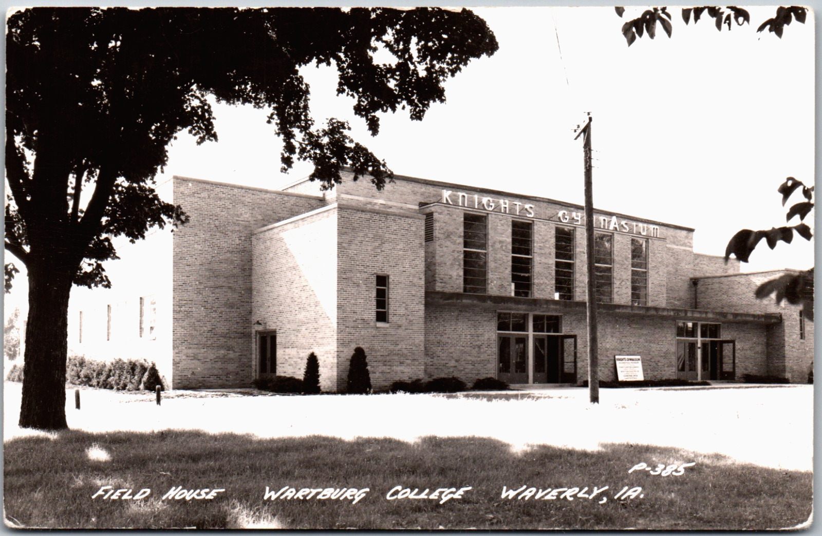 Waverly Iowa Wartburg College Field House Knights Gymnasium 1954 RPPC Postcard