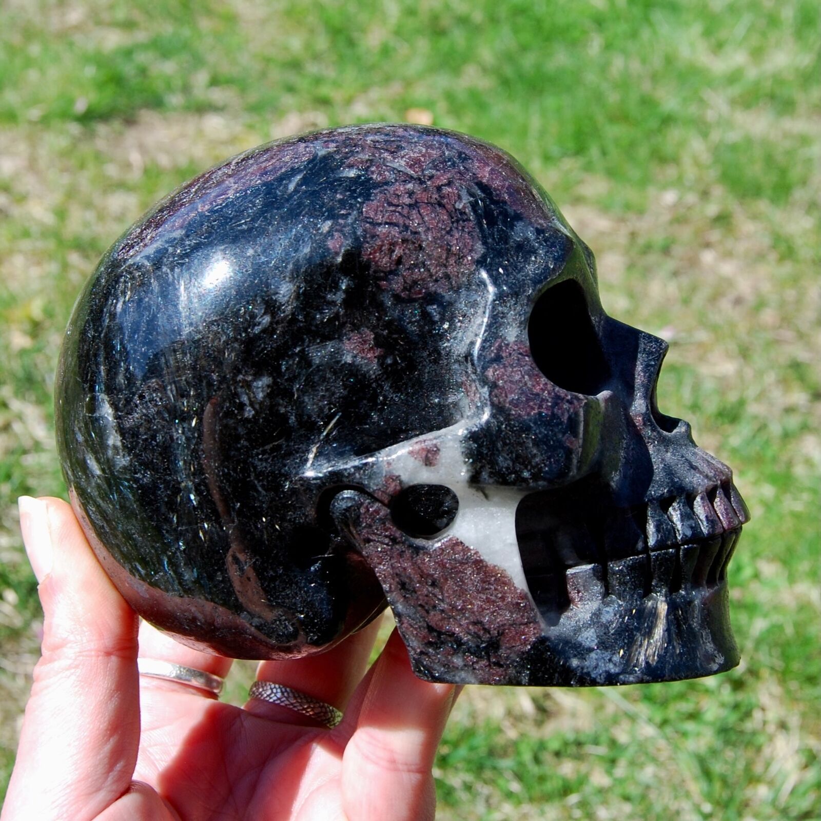 5in 3.6lb Huge Arfvedsonite Garnet Quartz Crystal Skull