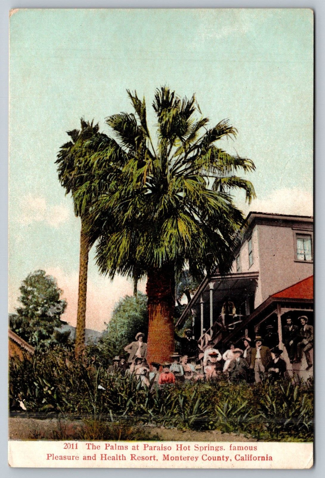 Monterey California c1910 Postcard Palms at Paraiso Hot Springs Health Resort