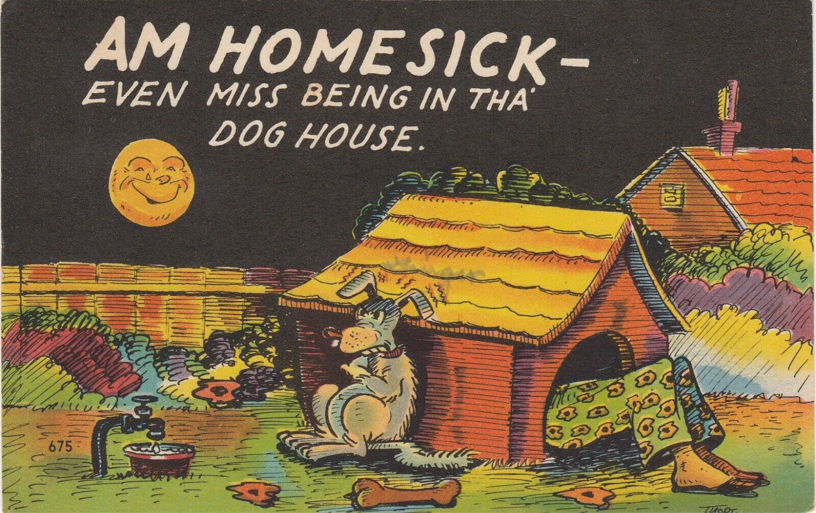 Vintage Am Homesick Humor Postcard Doghouse Bone Comic Artist Tuort Night scene