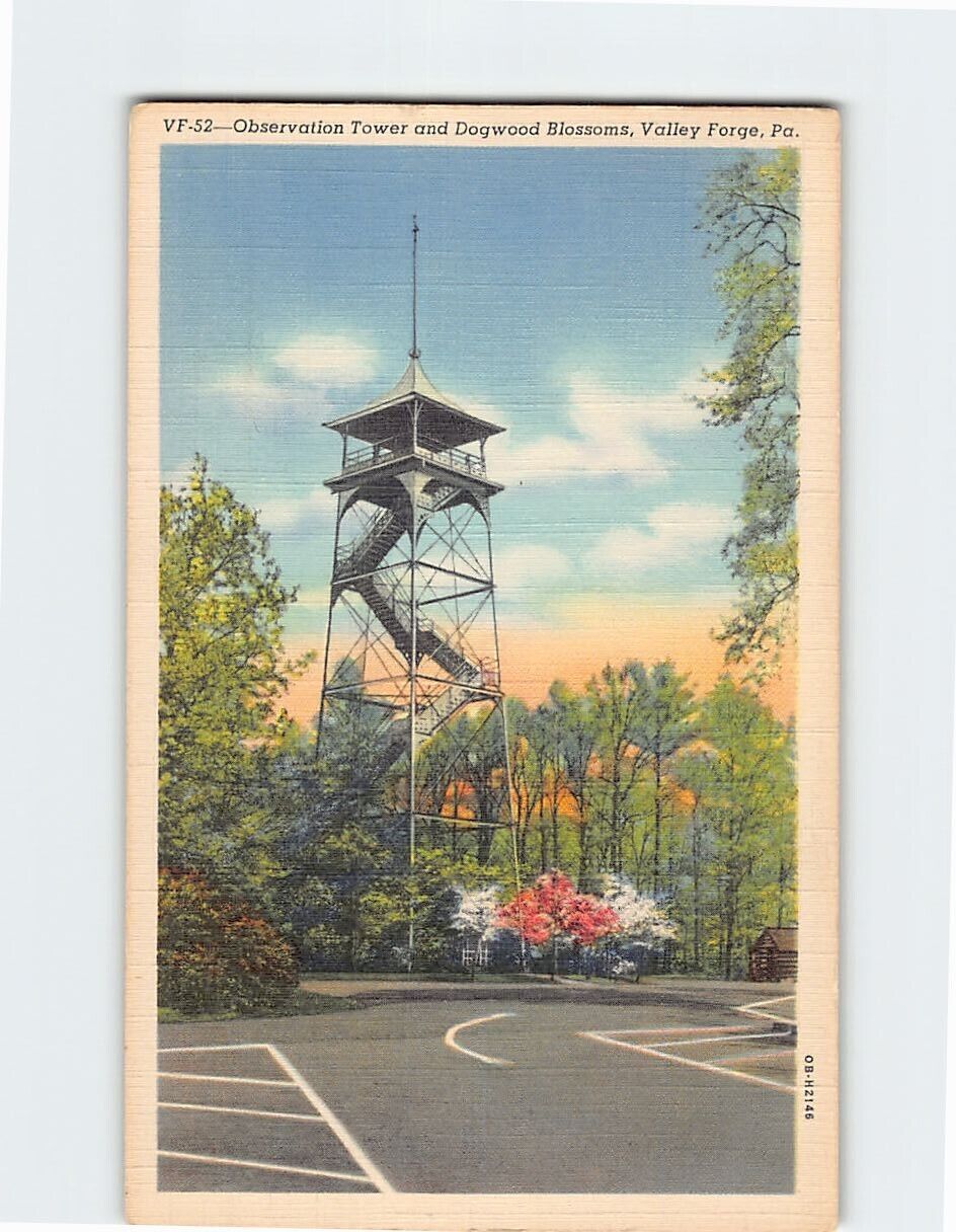 Postcard Observation Tower & Dogwood Blossoms Valley Forge Pennsylvania USA