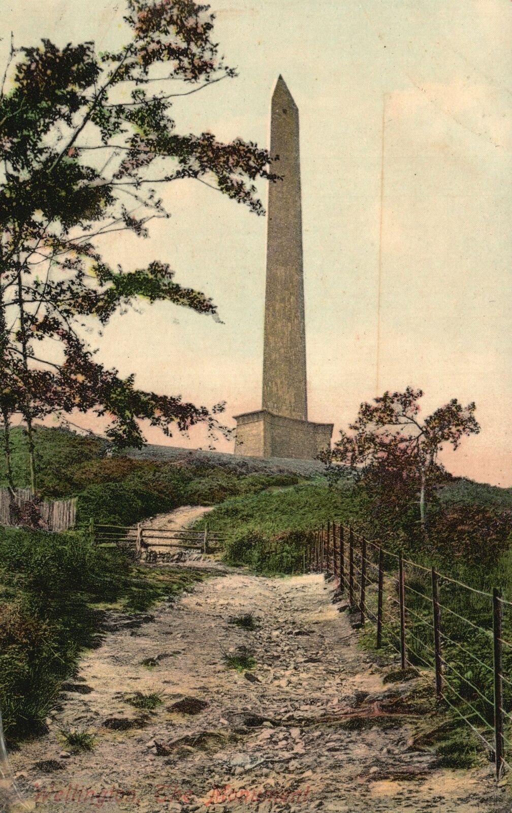 Vintage Postcard 1910's The Wellington Monument Somerset Devon England UK