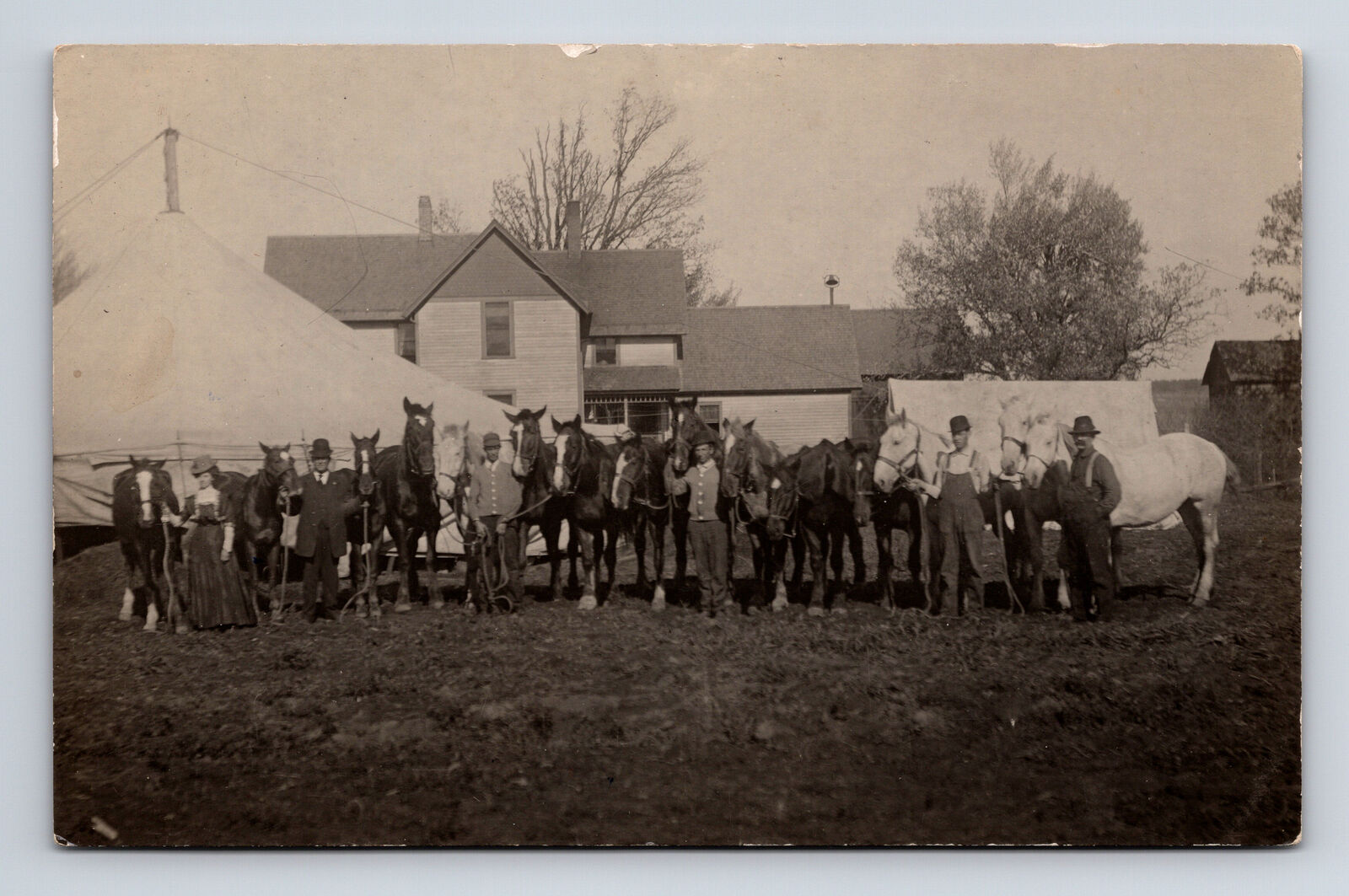 c1910 RPPC 15 Horses By Farm Homestead Large Circus? Tent Daraxa Postcard