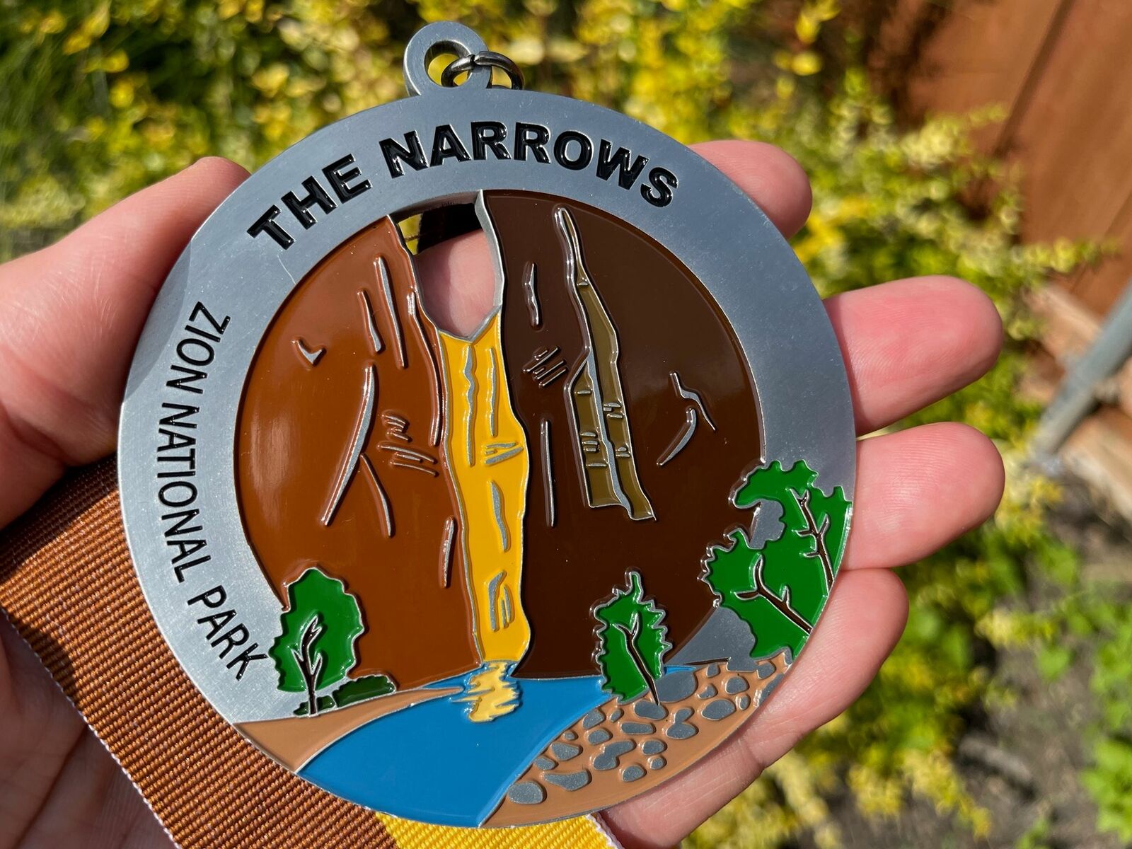 The Narrows Medal