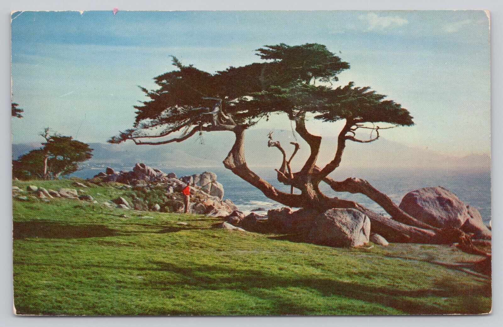 Monterey California, Cypress & Sea 17 Mile Drive Golf Capital, Vintage Postcard